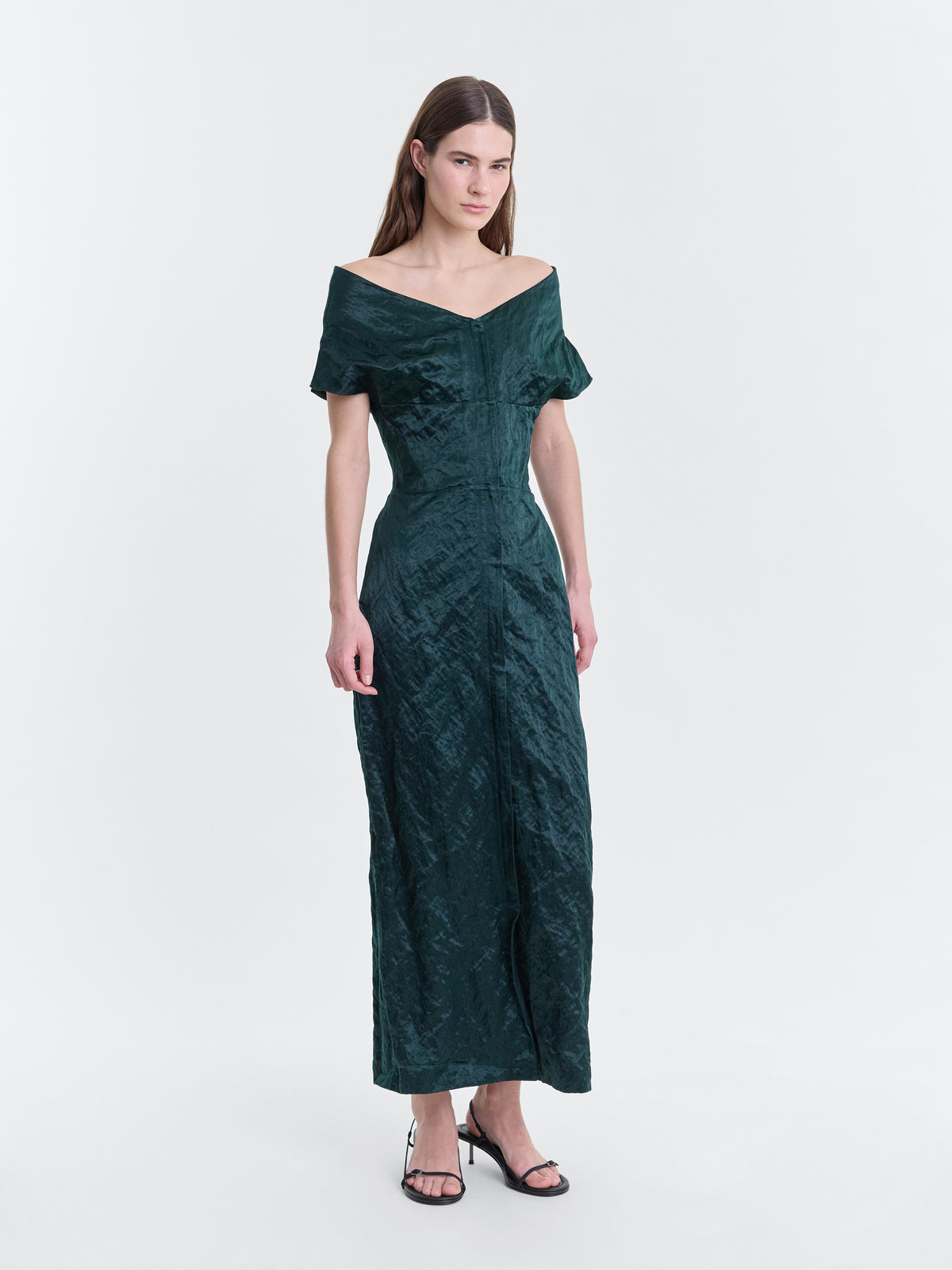 KALEY_EVERGREEN_MAIN
